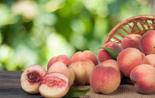 甜桃吃瓜英文,Sweet Peach and Melon: A Delectable Journey Through the World of Fruits
