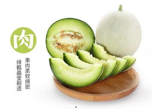 网纹瓜怎么样吃,解锁夏日清新口感新体验