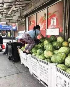 大妈吃大瓜,揭秘网络热传背后的故事