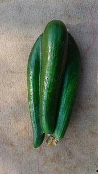 瓜还可以怎么吃,创意瓜食无限可能