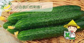 小六六吃瓜,揭秘娱乐圈那些不为人知的幕后故事