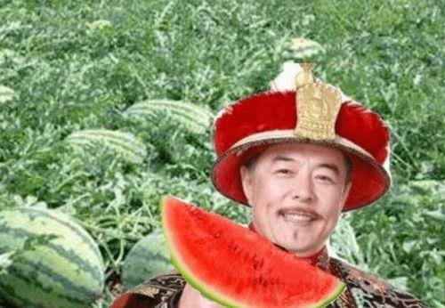 吃瓜路儿,一场全民参与的娱乐盛宴