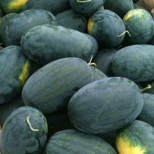 籽瓜咋吃最好,解锁最佳食用之道