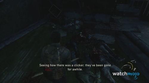 我在末日吃瓜,荒野求生中的酸甜苦辣