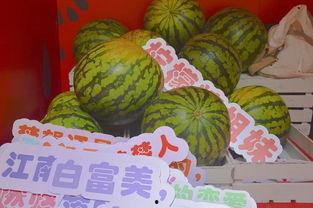 泰安公园吃瓜,悠闲时光里的甜蜜记忆