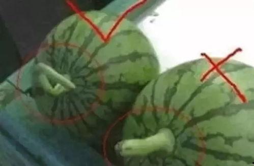 小妹吃瓜,揭秘娱乐圈那些不为人知的幕后故事