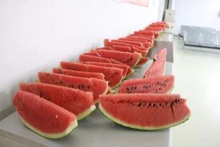 晚上8点吃瓜,揭秘晚8点吃瓜的奥秘