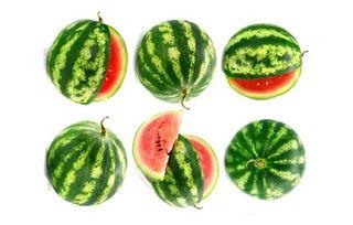 吃瓜的苞米公主,揭秘宫廷背后的八卦风云