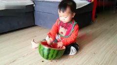 吃瓜托子视频,一场视觉与味蕾的双重盛宴