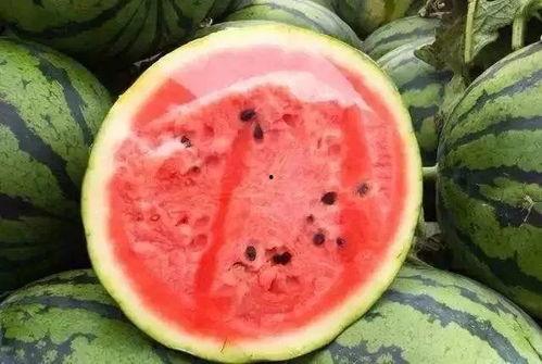 厘米秀吃瓜,揭秘网红美食背后的秘密