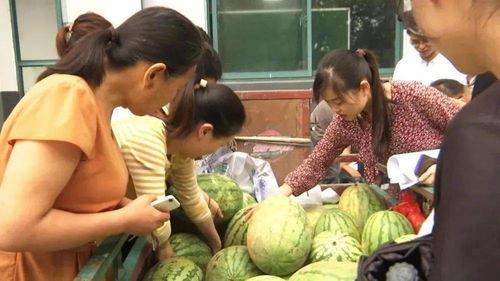 帮你拍照的人吃瓜群众,揭秘帮你拍照的吃瓜群众