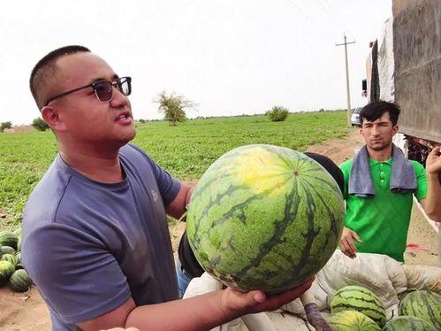 太白湖吃瓜新闻,揭秘网络热议背后的真相与争议