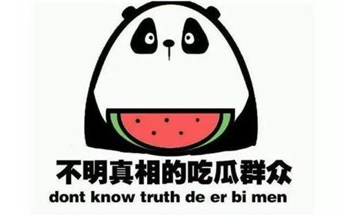 吃瓜浮力群qq,QQ群里的欢乐海洋与社交新风尚