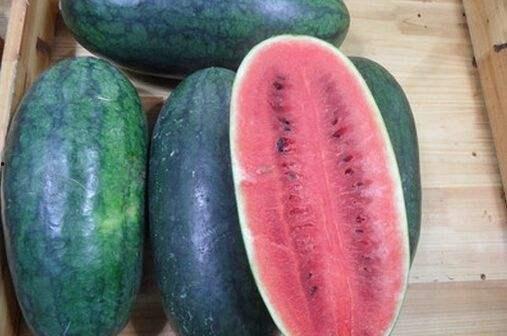 十七吃黑瓜,探寻神秘果实的奇幻之旅