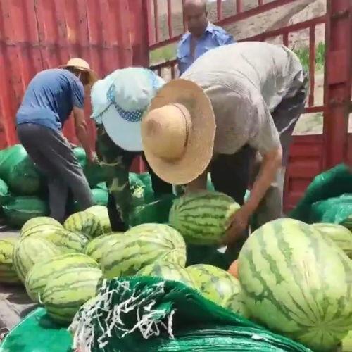 吃瓜群众发口罩,爱心口罩传递温暖