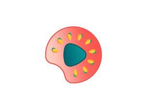 带你吃瓜小名,带你领略“吃瓜小名”的独特魅力