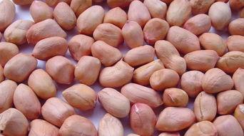 王瓜与花生可以一起吃吗,王瓜与花生同食的适宜性探讨