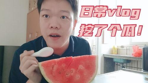 vlog吃瓜,揭秘Vlog吃瓜背后的故事与趣味