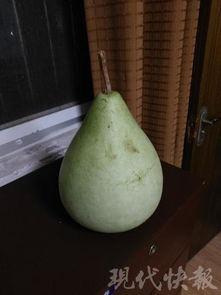 盐城兴业吃瓜,一场吃瓜盛宴背后的故事