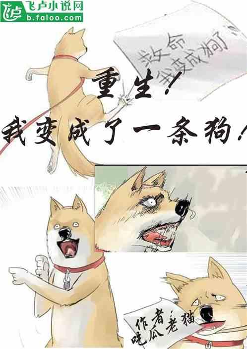 吃瓜无罪小说免费阅读,揭秘娱乐圈背后的秘密