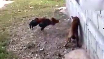 吃瓜侠拍摄花絮