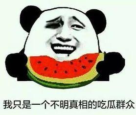 瓜友吃瓜群聊你懂,揭秘网络社交圈的“瓜”文化现象