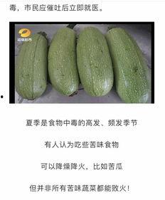 吃白瓜嘴巴刺痛