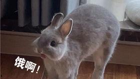 早起吃瓜大聪明,大聪明教你轻松掌握生活小技巧