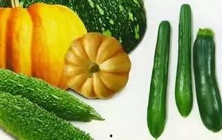 俞悦吃瓜,揭秘娱乐圈背后的那些事儿