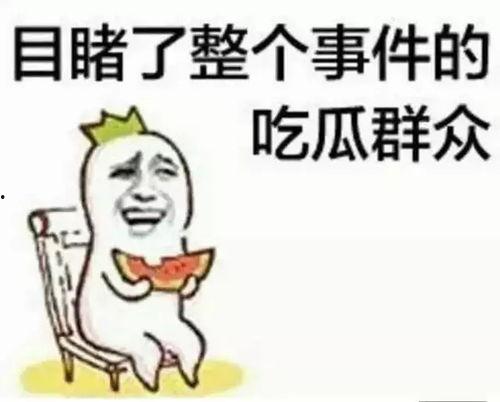 豪豪吃瓜群众,揭秘娱乐圈幕后风云